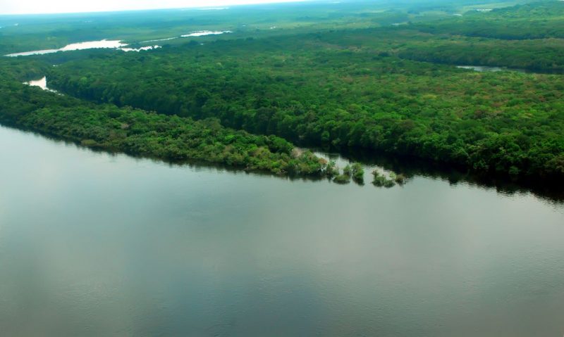 Reino Unido promete R$ 500 milhões ao Fundo Amazônia, diz governo